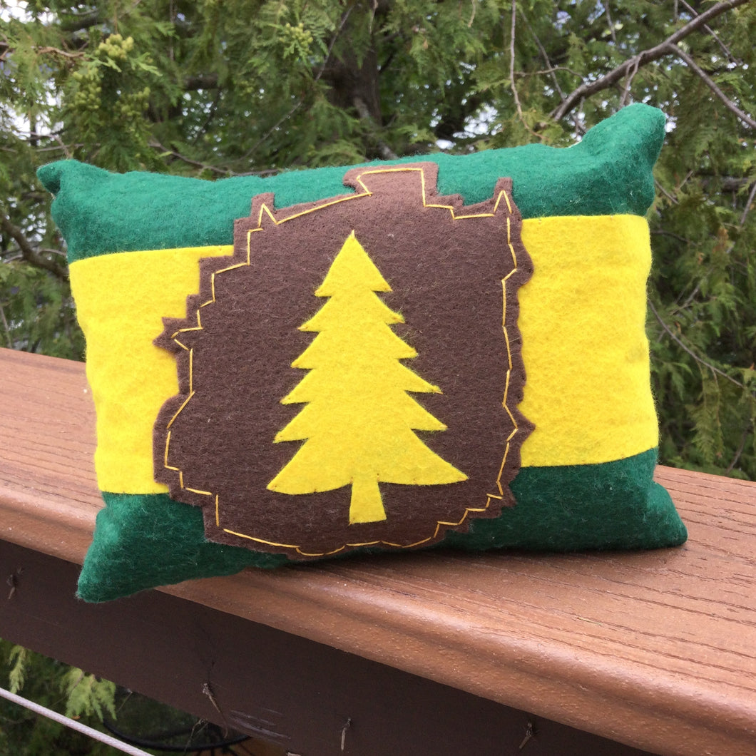 Homemade Adirondack Flag Balsam Pillow